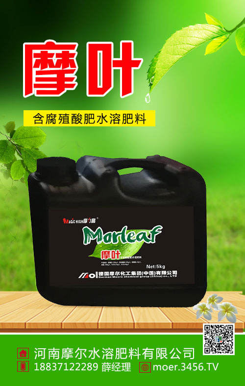 在腐殖酸肥料里,5kg含腐殖酸肥水溶肥料(摩叶)-摩力高-摩尔尤为值得